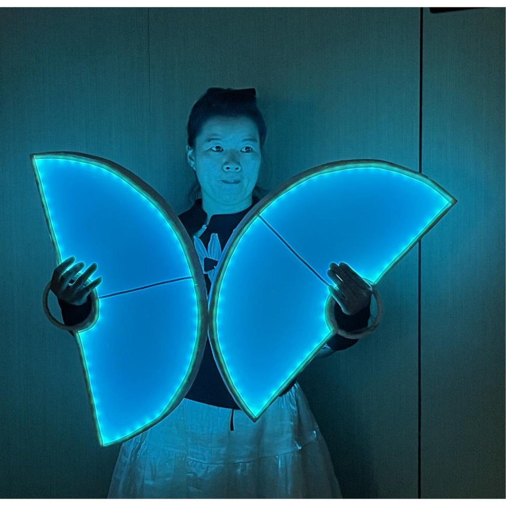 Full-colour programmable LED dance hand fans, pair